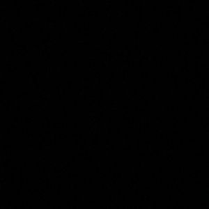 Meet your Posher, Ellen